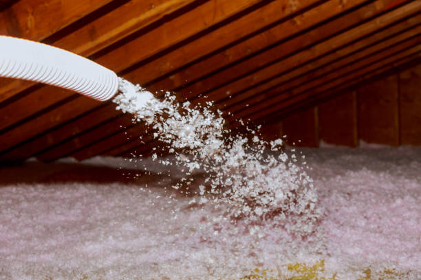 Best Spray Foam Insulation in Pearl Beach, MI