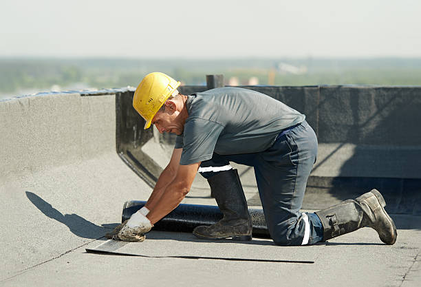 Best Specialized Insulation Services in Pearl Beach, MI