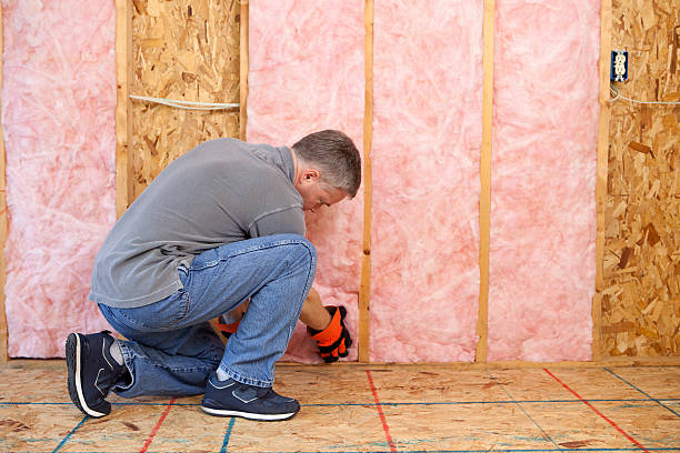 Best Energy Efficiency Insulation in Pearl Beach, MI
